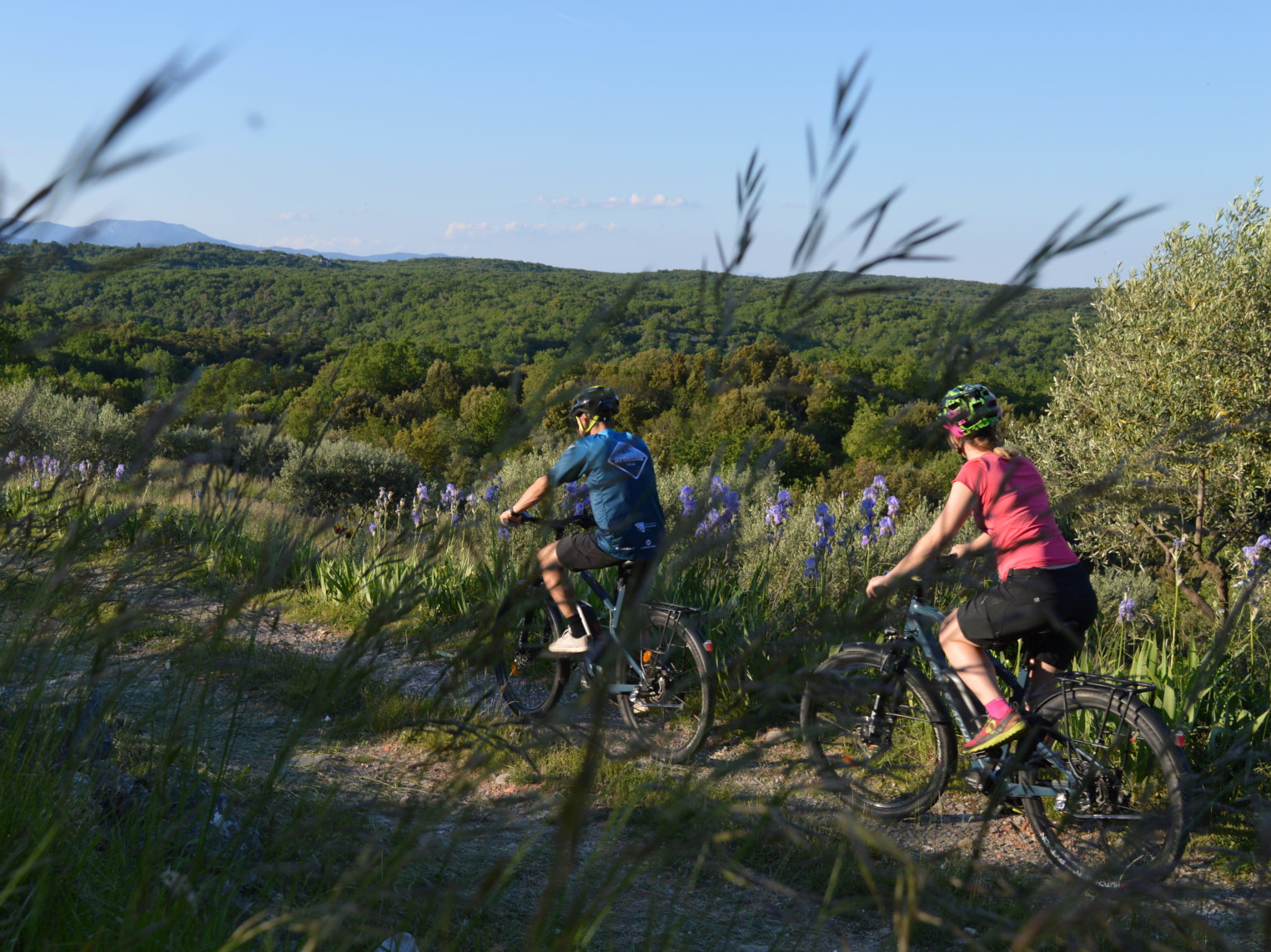 Balade à vélo électrique dans les vignes en Ardèche