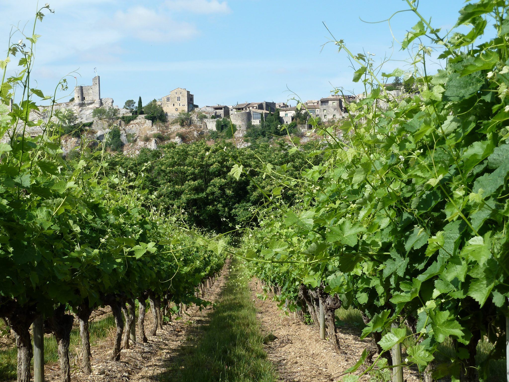 vignes-et-village-5